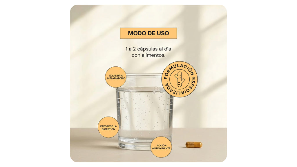 Cúrcuma Plus | 60 cápsulas | Cúrcuma con Pimienta Negra y Jengibre