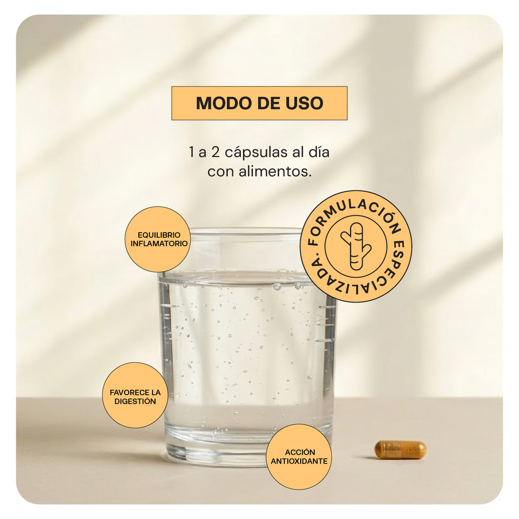 Cúrcuma Plus | 60 cápsulas | Cúrcuma con Pimienta Negra y Jengibre
