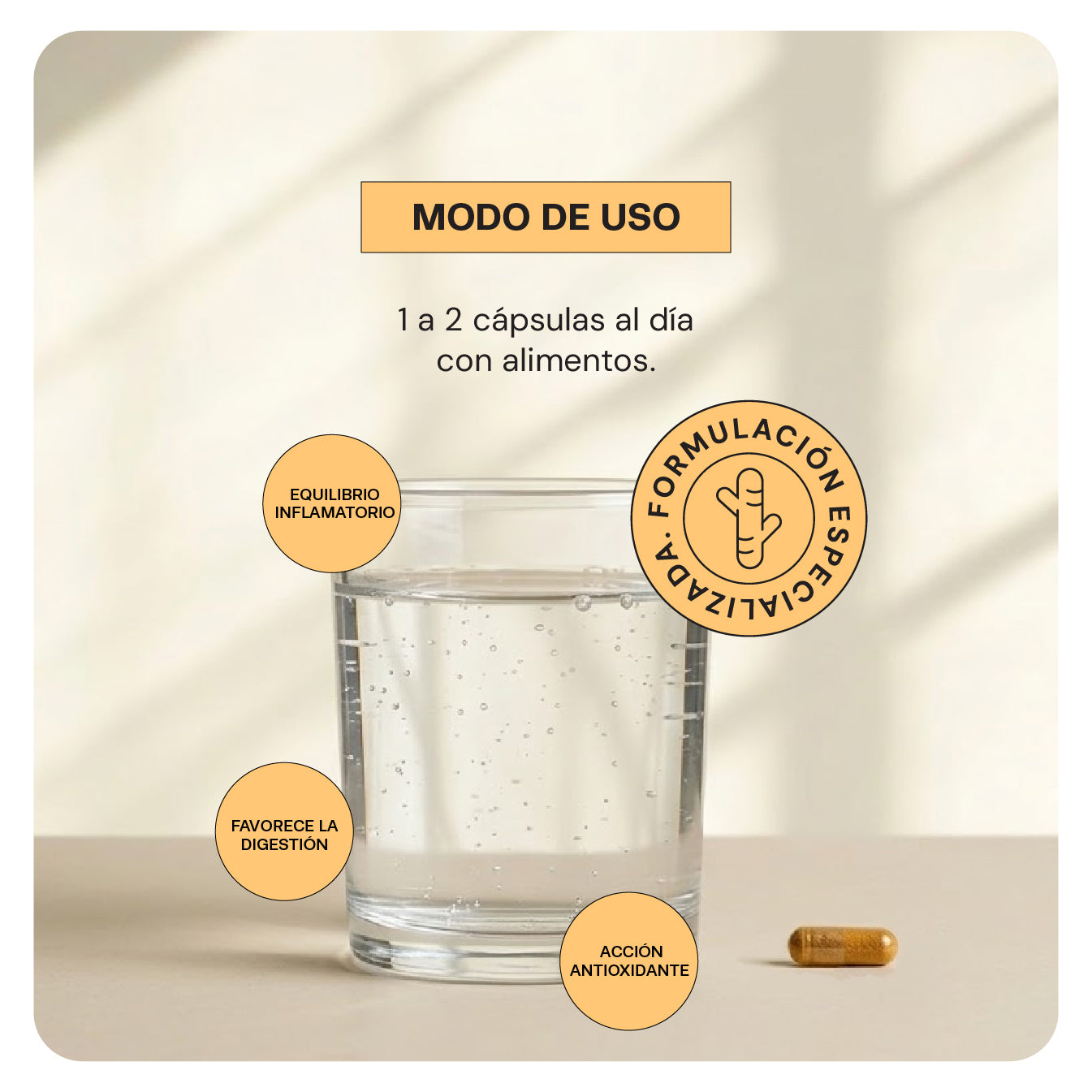 Cúrcuma Plus | 60 cápsulas | Cúrcuma con Pimienta Negra y Jengibre