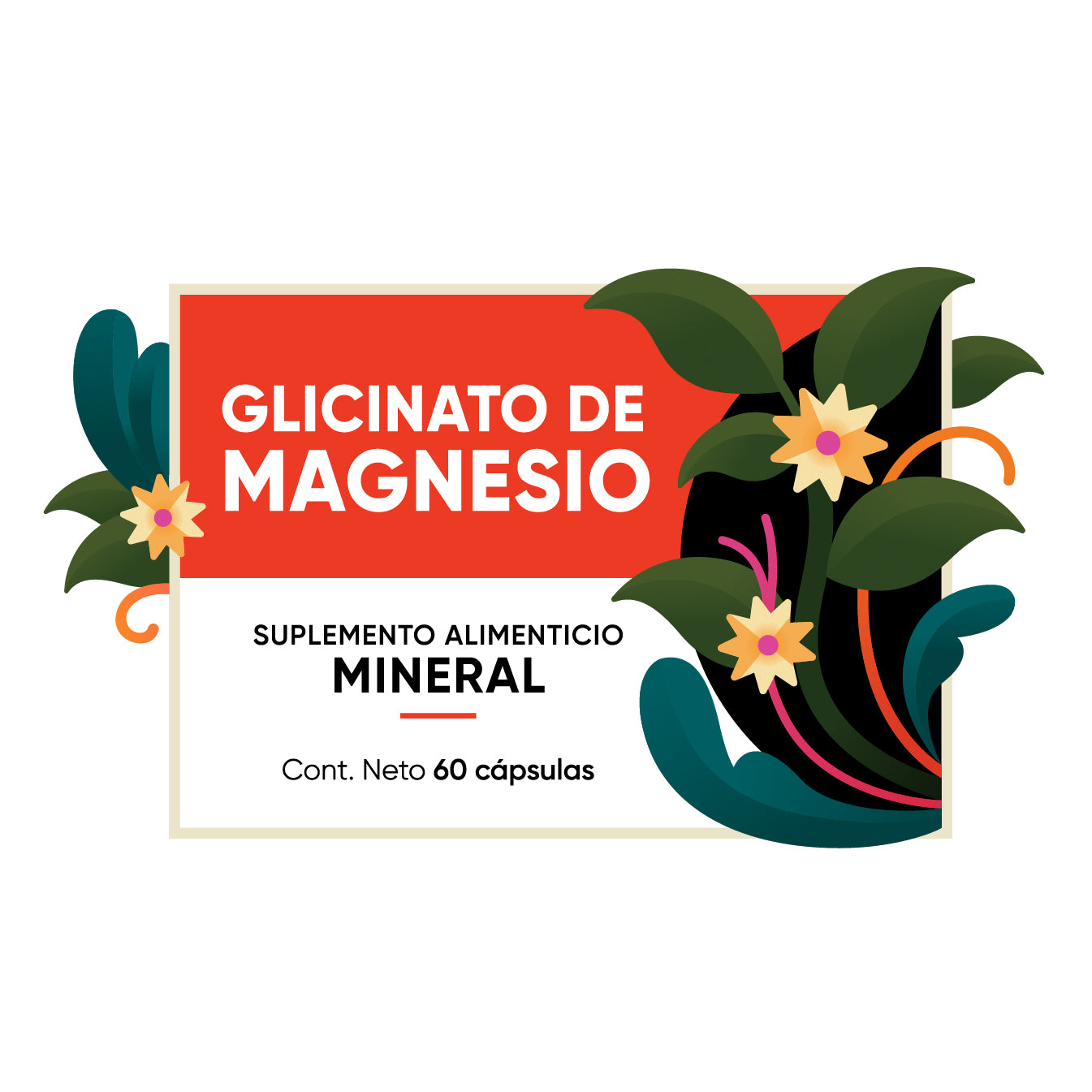 Glicinato de Magnesio | 60 cápsulas | De Alta Absorción